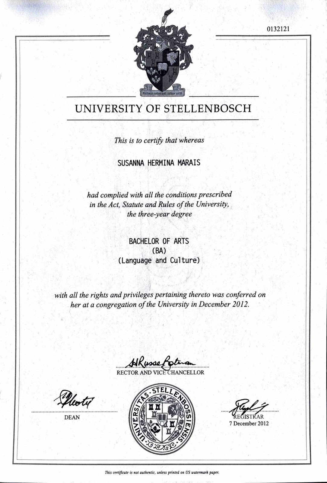 Portfolio image 4