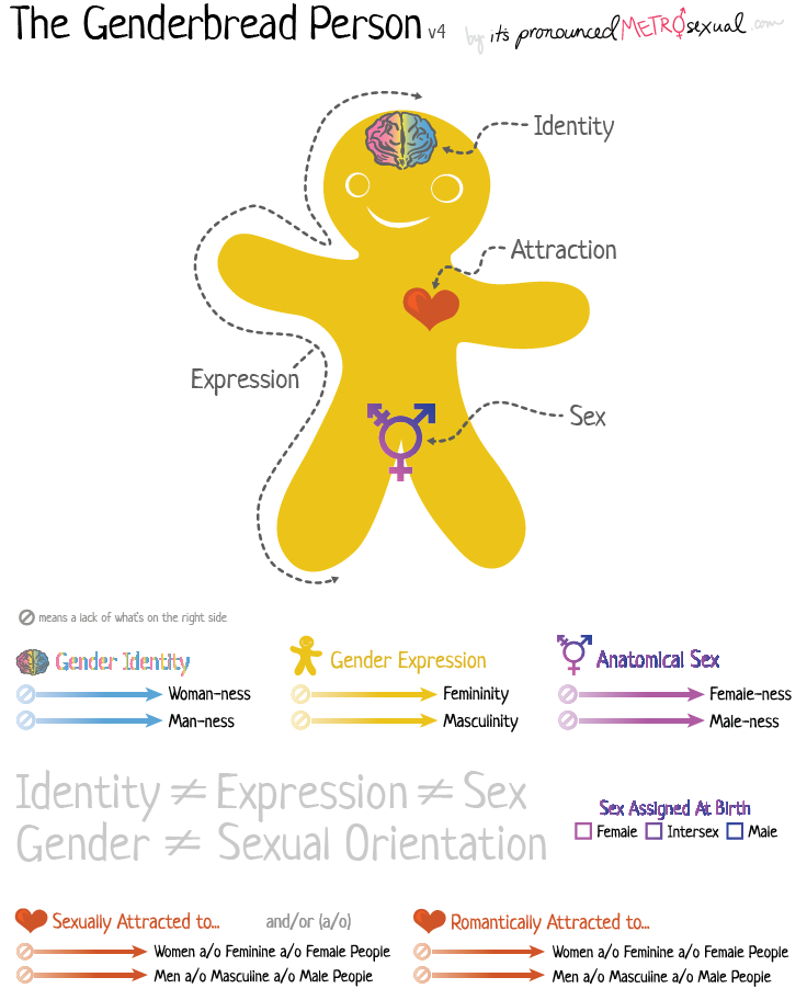 Examples of adaptation